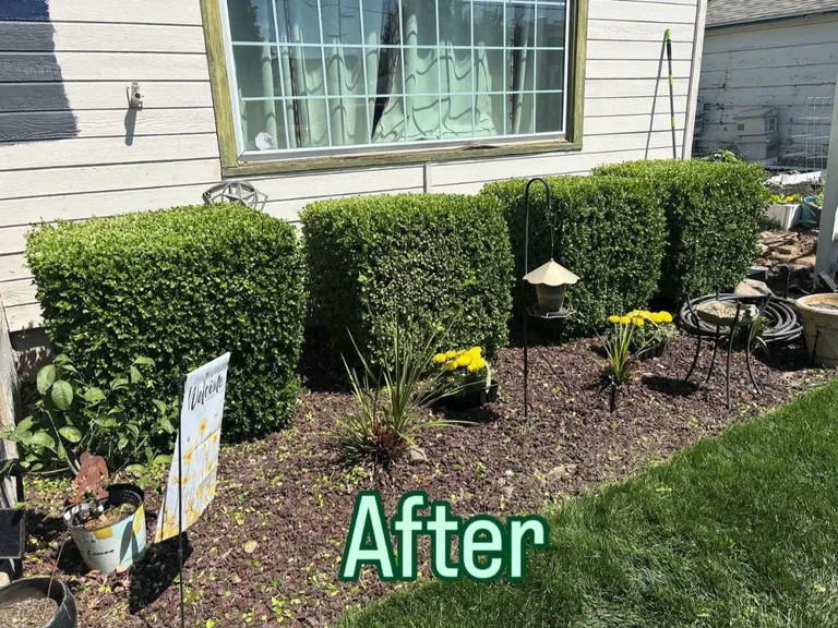 After – project 3
