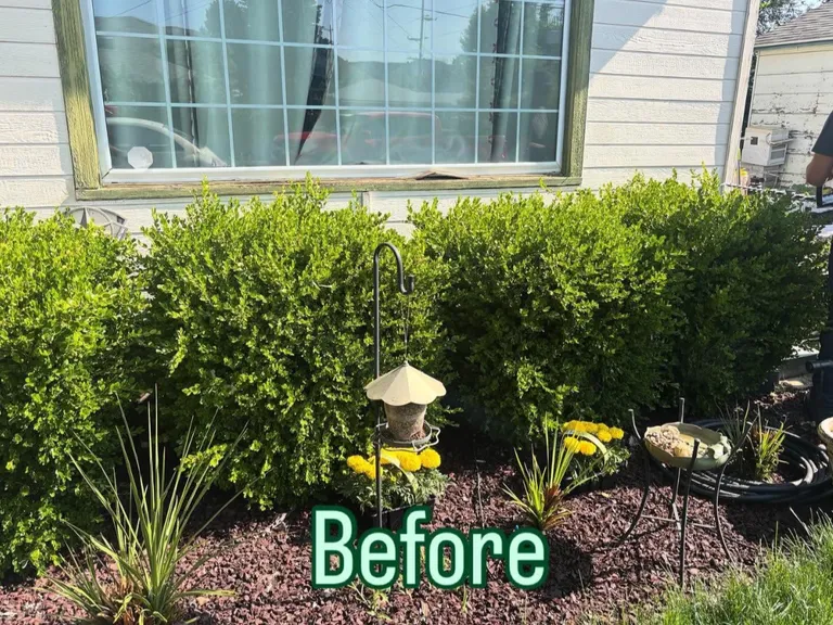 Before – project 3