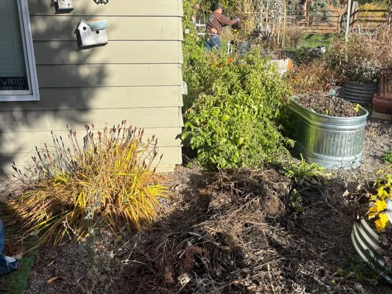 Before – project 4