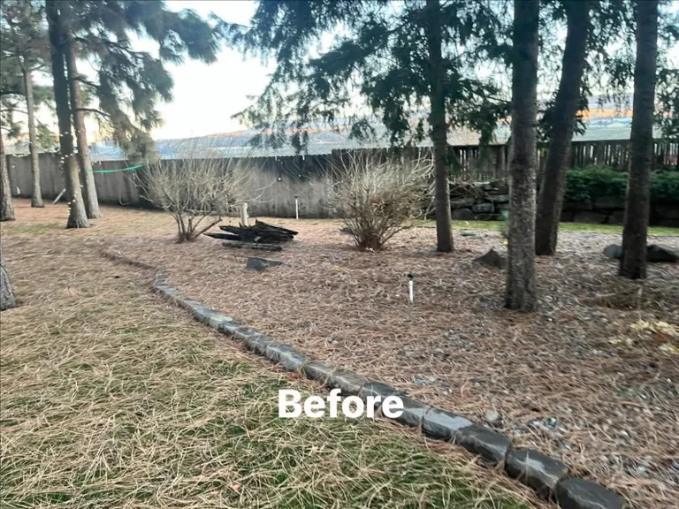 Before – project 5